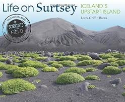 Life on Surtsey: Iceland's Upstart Island